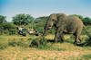 Afrique Du Sud - Le Cap, 12 JOURS / 9 NUITS - Lumières d'Afrique du Sud SAISON 2009