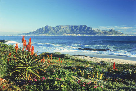 Table Bay