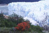 Perito Moreno
