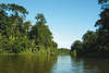 Tortuguero - COSTA RICA NATURE