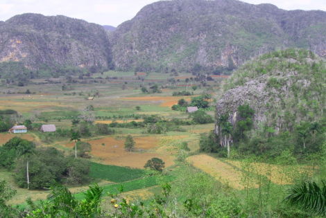 Vinales