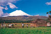 Equateur - Quito, 10 JOURS / 8 NUITS - La Route des Volcans