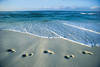 Etats-Unis - Miami, 09 JOURS / 07 NUITS - COMBINE ETE 08 AUTOTOUR FLORIDE / CROISIERE BAHAMAS - Miami / Orlando (Disney World) & Croisière Bahamas