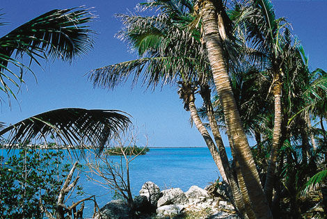Plage - FLORIDE PREMIERES