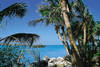 Plage - FLORIDE PREMIERES
