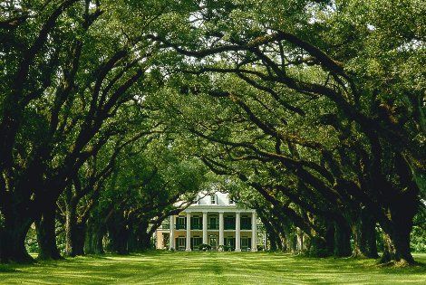 Plantation de Oak Alley