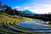 Indonesie - Djakarta, 15 JOURS / 12 NUITS - "Lumières de Bali" 