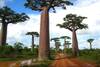 Madagascar - Antananarivo, 11 JOURS / 9 NUITS - Circuit "Secrets Malgaches" - Visite de la capitale, des villages de la fameuse RN 7, écotourisme au Massif de l'Isalo, fin de tour balnéaire à Ifaty