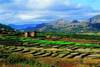 Madagascar - Antananarivo, 11 JOURS / 9 NUITS - Circuit "Merveilles Malgaches" - Tana, Ambatolampy, Antsirabe, Ambositra, Fianarantsoa, Ranomafana, Massif de l'Isalo, Tuléar et Ifaty - Découverte du Centre et des Hauts-Plateaux de l'île Rouge puis fin de tour balnéaire