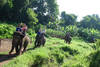 Thailande - Bangkok, 15 JOURS / 12 NUITS - Circuit Trésors du Siam 3* et farniente à Rayong à l'hôtel Palmeraie Beach Resort 3*