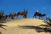 Tunisie - Djerba, 08 JOURS / 07 NUITS - Circuit 4x4 La Saharienne 