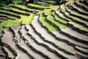 Bali - Denpasar, 15 JOURS / 12 NUITS - Combiné Splendeurs de Bali + Lombok Jayakarta 3* - Vols avec la compagnie Qatar Airways