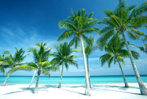 Plage - DECOUVERTE DE MANILLE ET ANANYANA