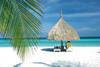 Philippines - Manille, 12 JOURS / 9 NUITS - Découverte de Manille et séjour balnéaire sur à Bohol au Bohol Beach Club 3* - Vols avec Cathay Pacific !