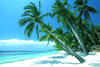 Philippines - Manille, 12 JOURS / 9 NUITS - Découverte de Manille et séjour balnéaire sur l'île de Boracay – Hôtel Boracay Tropics 3* Charme - Vols avec Cathay Pacific !