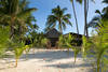 Polynesie Francaise - Papeete, 14 JOURS / 11 NUITS - Combiné "Au Coeur des Îles" : Tahiti 5* / Moorea 4*sup / Bora Bora 4*sup / Rangiroa 3*sup / Fakarava 3*sup - Passez un Voyage de Noces de rêve!