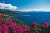 Polynesie Francaise - Papeete, 10 JOURS / 07 NUITS - Passez un Voyage de Noces de rêves avec le Combiné "Les Îles Soeurs" : Tahiti 4* / Moorea 4* - Contactez nos vendeurs spécialisés pour préparer votre combiné "A la Carte".