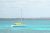 Martinique - Fort De France, 9 JOURS / 7 NUITS - Croisière à la Voile aux Grenadines 2 Dauphins - en formule pension complète et  boissons locales incluses - Formule cuisine active.  
