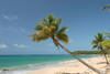 PLAGE - CROISIERE A LA VOILE A SAINT DOMINGUE 5 D SUP