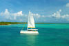 Republique Dominicaine - Punta Cana, 16 JOURS / 14 NUITS - Combiné croisière à la voile à St Domingue 5 Dauphins Sup + Hôtel Sirenis Cocotal Beach Resort 5* - En formule Pension Complète pendant la croisière et Tout Inclus pendant le séjour hôtel