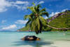 Seychelles - Mahe, 12 JOURS/ 10 NUITS - Croisière Iles Coraliennes 5 Dauphins - en formule pension complète (boissons non incluses)