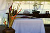Bresil - Salvador De Bahia, 16 JOURS / 14 NUITS - TIVOLI ECORESORT & SPA 5* - Situé sur la plage de Praia do Forte 