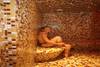 hammam - MERCURE ARIANA