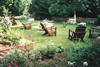 Jardin hôtel saint roch - SAINT ROCH
