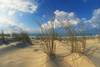 dunes - NOVOTEL ARCACHON