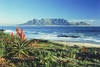 Table Bay