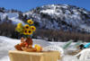 Alpes - Isola 2000, 3 JOURS / 2 NUITS - Hôtel Le Chastillon 3* - Le 1er enfant de 0-11 ans est gratuit dans la chambre de ses parents!