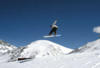 Alpes - Isola 2000, 03 JOURS / 02 NUITS - Hôtel club du soleil Le Chastillon 3* - 2 acces sauna + 2H location raquettes ou luge !
