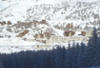 Alpes - Isola 2000, 08 JOURS / 07 NUITS - Hôtel Le Pas du Loup 3* - Une bouteille de Champagne est offerte!! + 4h de location raquettes ou luge.