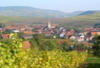 Alsace / Lorraine - Rouffach, 02 JOURS / 01 NUIT - Balade des Vins d'Alsace