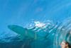 Bahamas - Nassau, 9 JOURS / 7 NUITS - CORAL TOWERS 4* ATLANTIS RESORT en logement seul