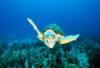 Nos bons plans vacances Bahamas