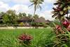 Bali - Denpasar, 17 JOURS / 14 NUITS - De la Jungle d'Ubud aux sables de Bali - 4 Nuits à Ubud à l'hôtel Ananda cottage 3* et 10 nuits à l'hôtel Sari Segara Resort 3*/4*. OFFRE SPECIALE - 200 euros sur les départs du 29 janvier et du 23 avril!