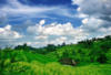 Bali - Denpasar, 15 JOURS / 12 NUITS - Hôtel Jayakarta Bali 4* - Legian