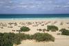 Cap Vert - Ile de Boavista, 9 JOURS / 7 NUITS - Hôtel Club Lookéa Boa Vista Cabo Verde 4* - île de Boa Vista - situé à même la magnifique plage de sable blanc de Praia de Chavez - OFFRE SPECIALE : Réservez avant le 31 Janvier 2009 et bénéficiez de 50euros de réduction/pers. (les tarifs affichés incluent cette remise)  