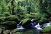 Costa Rica - San jose, 10 JOURS / 8 NUITS - Les chemins du Costa Rica