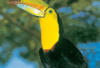 Costa Rica - San jose, 12 JOURS / 10 NUITS - Entre Océan et Montagne