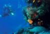 Croatie - Dubrovnik, 08 JOURS / 07 NUITS -  Hôtel MLINI 2* - DUBROVNIK - OFFRE SPECIALE  : 5 nuits payantes = 2 nuits offertes sur le mois de septembre !! !!