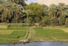 Egypte - Le Caire, 15 JOURS / 14 NUITS - Circuit et croisière Thot 5*/4* (n.l.) en VOL REGULIER -
7 nuits de croisière 5* (n.l.) + 3 nuits à Hurghada en hôtel 4* (n.l.) + 3 nuits au Caire en hôtel 5*  (n.l.) + 1 nuit de train 