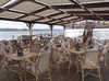 CROISIERE ROYALE - photo 3