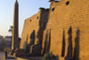 Egypte - Louxor, 08 JOURS / 07 NUITS - Khéops "à la carte" 5* - Circuit 4 nuits en bateau 5* + 1 nuit en train + 2 nuits au Caire 5* 