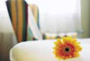 Egypte - Marsa Alam, 8 JOURS / 7 NUITS - HOTEL RADISSON + CURE