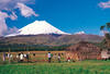 Nos bons plans vacances Equateur