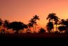 Etats-Unis - Miami, 11 JOURS / 09 NUITS - AUTOTOUR FLORIDE EN FAMILLE 2/3* - Miami / Orlando / Everglades / Naples
