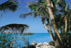 Etats-Unis - Miami, 9 JOURS / 7 NUITS - Floride Premières - SAISON 2009