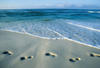 Etats-Unis - Miami, 09 JOURS / 07 NUITS - COMBINE ETE 08 AUTOTOUR FLORIDE / CROISIERE BAHAMAS - Miami / Orlando (Disney World) & Croisière Bahamas